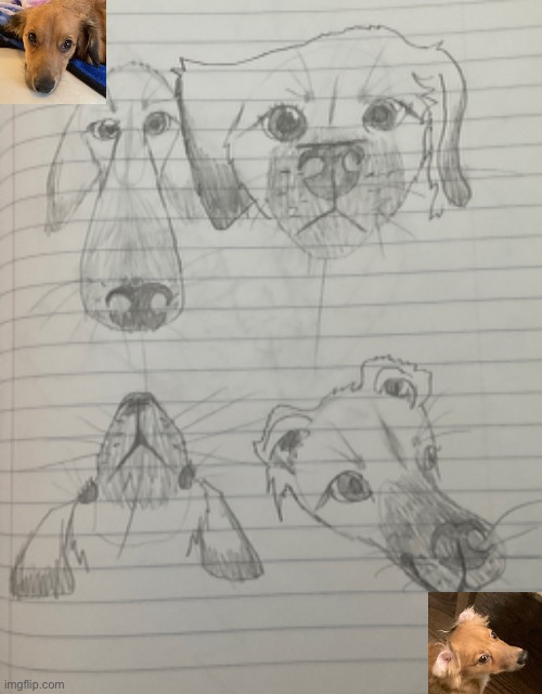 I drew my puppy 2.0 | image tagged in drawing | made w/ Imgflip meme maker