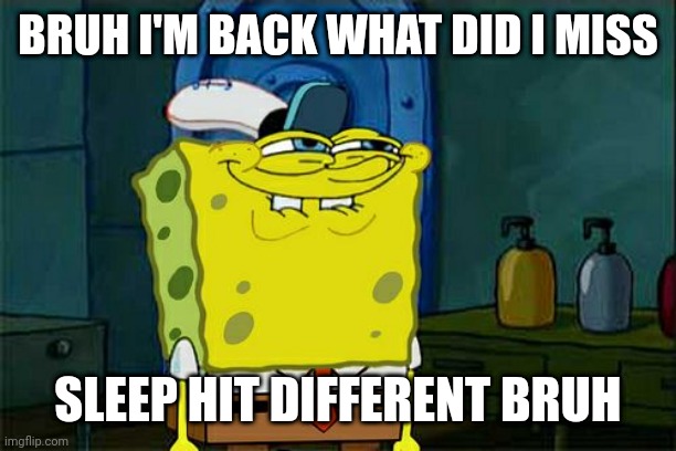 Don't You Squidward | BRUH I'M BACK WHAT DID I MISS; SLEEP HIT DIFFERENT BRUH | image tagged in memes,don't you squidward | made w/ Imgflip meme maker