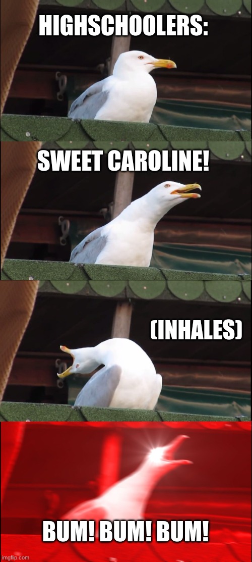 Is this your choir sibling? | HIGHSCHOOLERS:; SWEET CAROLINE! (INHALES); BUM! BUM! BUM! | image tagged in memes,inhaling seagull | made w/ Imgflip meme maker