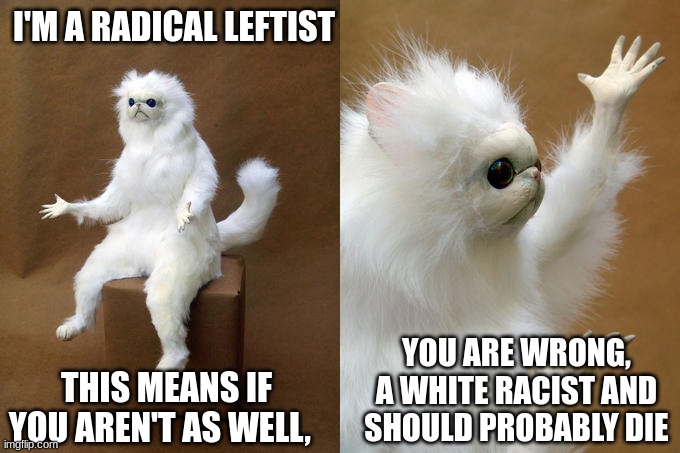 Call Me Antifa |  I'M A RADICAL LEFTIST; THIS MEANS IF YOU AREN'T AS WELL, YOU ARE WRONG, A WHITE RACIST AND SHOULD PROBABLY DIE | image tagged in memes,persian cat room guardian,antifa,leftists | made w/ Imgflip meme maker