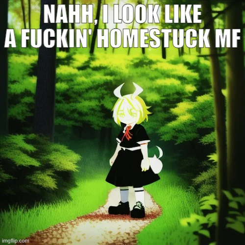 reminds me of hiveswap as well | NAHH, I LOOK LIKE A FUCKIN' HOMESTUCK MF | image tagged in homestuck-looking mf | made w/ Imgflip meme maker