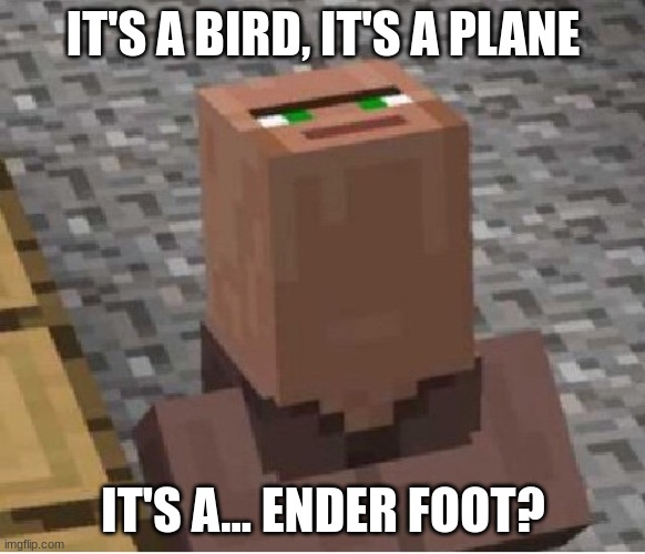 Minecraft Villager Looking Up | IT'S A BIRD, IT'S A PLANE; IT'S A... ENDER FOOT? | image tagged in minecraft villager looking up | made w/ Imgflip meme maker