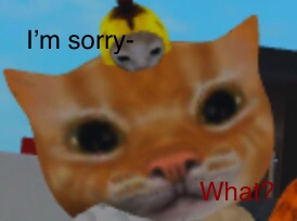 Roblox cat I’m sorry- what? Blank Meme Template
