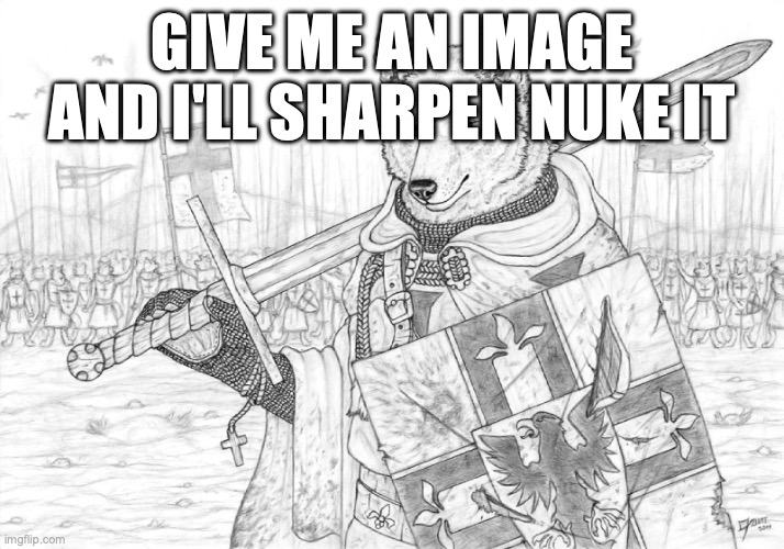 sharpen 1e+25 go crazy | GIVE ME AN IMAGE AND I'LL SHARPEN NUKE IT | image tagged in fursader | made w/ Imgflip meme maker