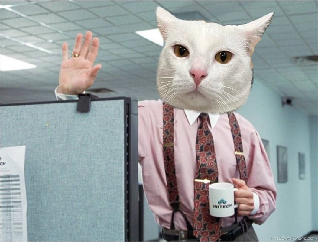High Quality LUMBERG FROM OFFICE SPACE BUT HE'S A CAT Blank Meme Template