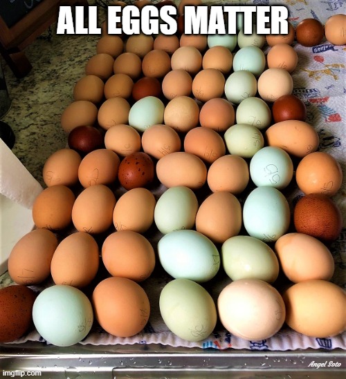 eggs, eggs, and more eggs |  ALL EGGS MATTER; Angel Soto | image tagged in eggs,all eggs matter,no racism | made w/ Imgflip meme maker