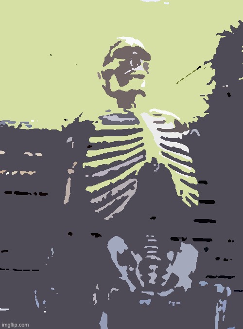 Waiting Skeleton Meme | image tagged in memes,waiting skeleton | made w/ Imgflip meme maker