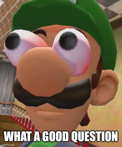 Luigi Has Ascended | WHAT A GOOD QUESTION | image tagged in luigi has ascended | made w/ Imgflip meme maker