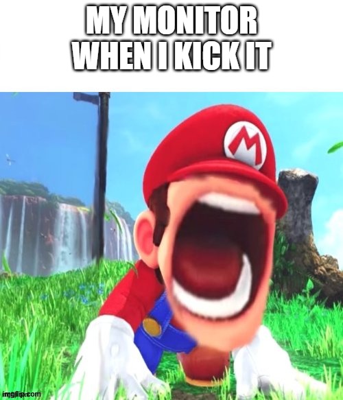 has this happened to you before | MY MONITOR WHEN I KICK IT | image tagged in mario screaming | made w/ Imgflip meme maker