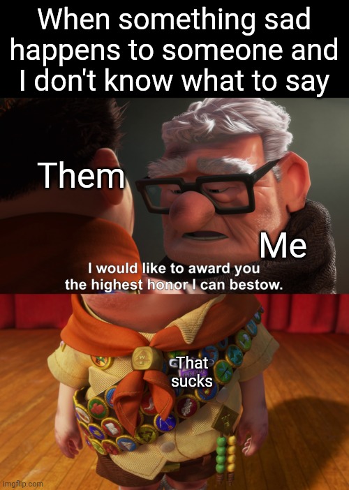 Highest Honor | When something sad happens to someone and I don't know what to say; Them; Me; That sucks | image tagged in highest honor | made w/ Imgflip meme maker