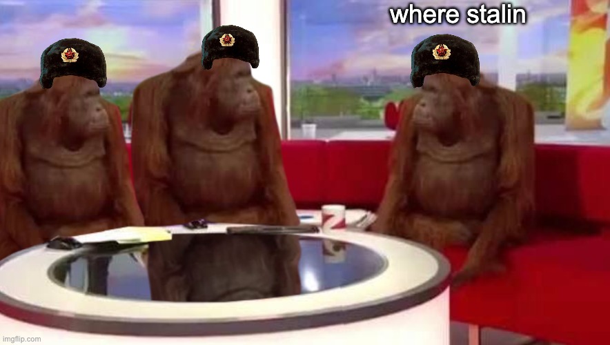 where monkey | where stalin | image tagged in where monkey | made w/ Imgflip meme maker
