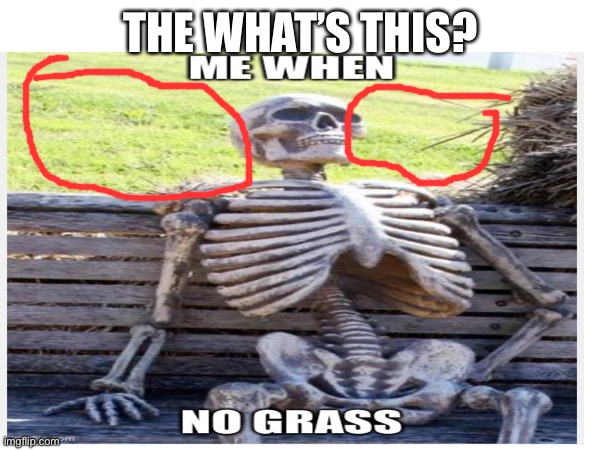 THE WHAT’S THIS? | made w/ Imgflip meme maker