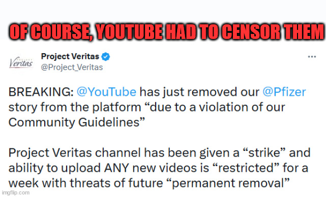 OF COURSE, YOUTUBE HAD TO CENSOR THEM | made w/ Imgflip meme maker