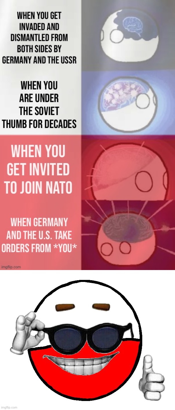 The unstoppable rise of Poland | image tagged in average poland w,picard a poland,poland,polandball,ukraine | made w/ Imgflip meme maker