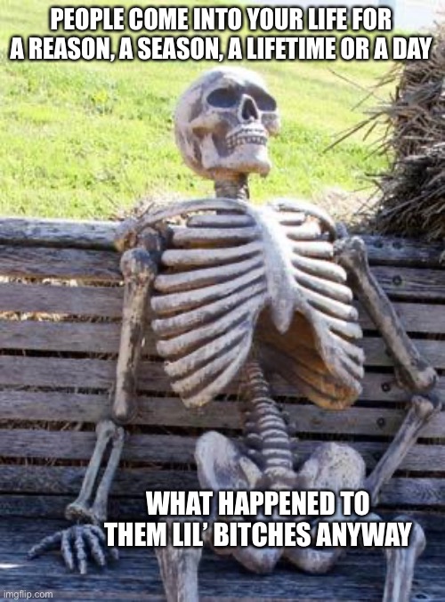 What happened? | PEOPLE COME INTO YOUR LIFE FOR A REASON, A SEASON, A LIFETIME OR A DAY; WHAT HAPPENED TO THEM LIL’ BITCHES ANYWAY | image tagged in memes,waiting skeleton,people,sucks | made w/ Imgflip meme maker