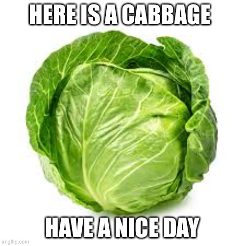 Cabage | HERE IS A CABBAGE; HAVE A NICE DAY | image tagged in cabbege | made w/ Imgflip meme maker