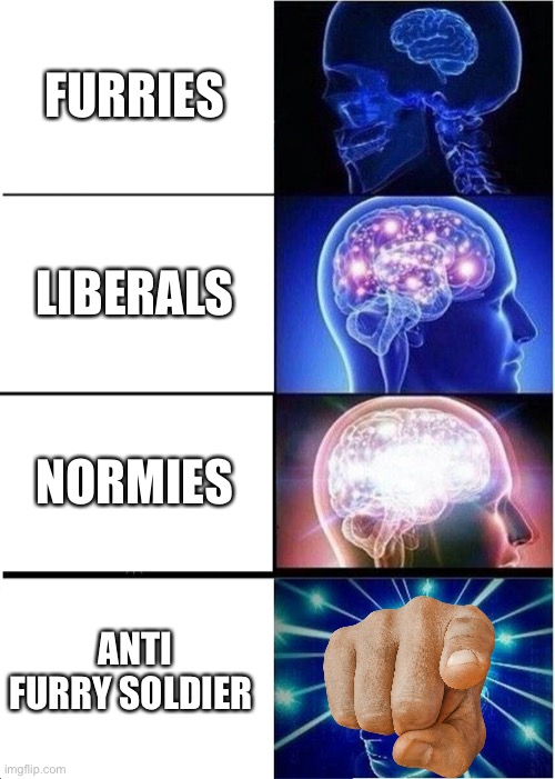 Expanding Brain Meme | FURRIES; LIBERALS; NORMIES; ANTI FURRY SOLDIER | image tagged in memes,expanding brain | made w/ Imgflip meme maker