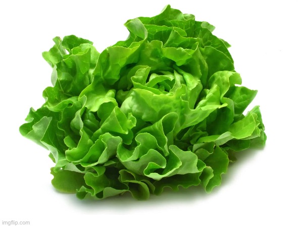 lettuce | image tagged in lettuce | made w/ Imgflip meme maker