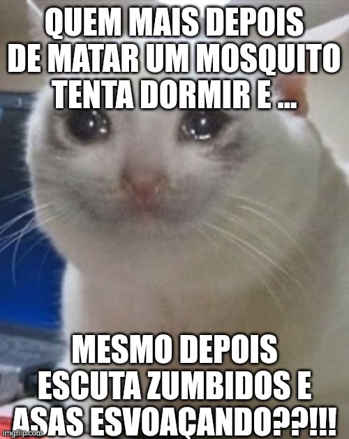 No puedo dormir | QUEM MAIS DEPOIS DE MATAR UM MOSQUITO TENTA DORMIR E ... MESMO DEPOIS ESCUTA ZUMBIDOS E ASAS ESVOAÇANDO??!!! | image tagged in no puedo dormir | made w/ Imgflip meme maker