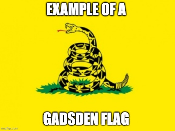 Gadsden Flag | EXAMPLE OF A GADSDEN FLAG | image tagged in gadsden flag | made w/ Imgflip meme maker