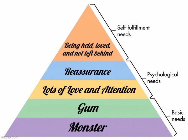 Maslow's Hierarchy of Needs | Being held, loved, and not left behind; Reassurance; Lots of Love and Attention; Gum; Monster | image tagged in maslow's hierarchy of needs | made w/ Imgflip meme maker