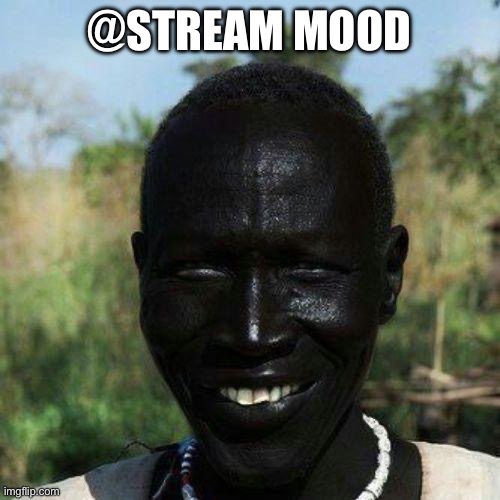 @STREAM MOOD | image tagged in no i are the niggest | made w/ Imgflip meme maker