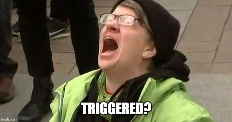 crying liberal | TRIGGERED? | image tagged in crying liberal | made w/ Imgflip meme maker
