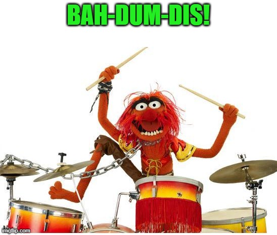 animal drums | BAH-DUM-DIS! | image tagged in animal drums | made w/ Imgflip meme maker
