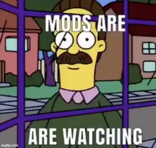Mods are watching | image tagged in mods are watching | made w/ Imgflip meme maker