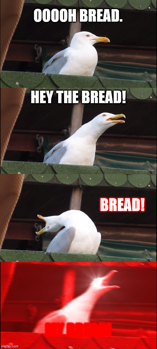 Inhaling Seagull Meme | OOOOH BREAD. HEY THE BREAD! BREAD! MY BREAD! | image tagged in memes,inhaling seagull | made w/ Imgflip meme maker