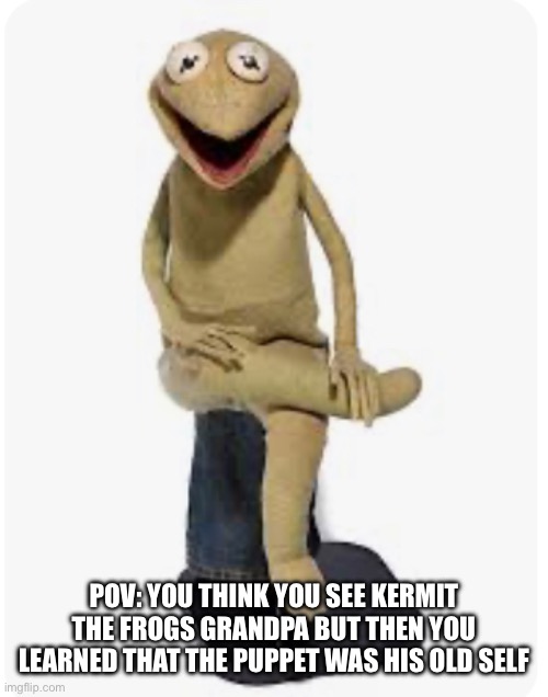 It technically counts as roleplay right? Also I read the rules | POV: YOU THINK YOU SEE KERMIT THE FROGS GRANDPA BUT THEN YOU LEARNED THAT THE PUPPET WAS HIS OLD SELF | image tagged in kermit,the muppets,puppet | made w/ Imgflip meme maker