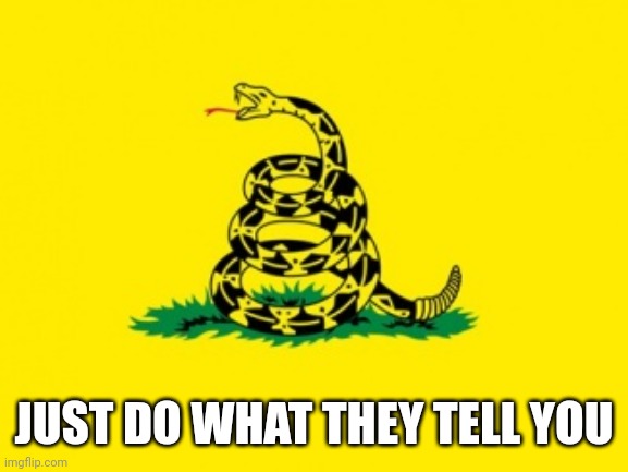 Gadsden Flag | JUST DO WHAT THEY TELL YOU | image tagged in gadsden flag | made w/ Imgflip meme maker