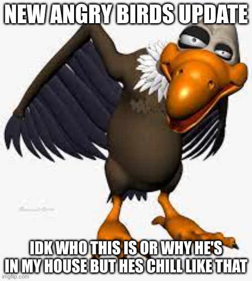Angry birds..? |  NEW ANGRY BIRDS UPDATE; IDK WHO THIS IS OR WHY HE'S IN MY HOUSE BUT HES CHILL LIKE THAT | image tagged in shitpost,bird,goofy | made w/ Imgflip meme maker