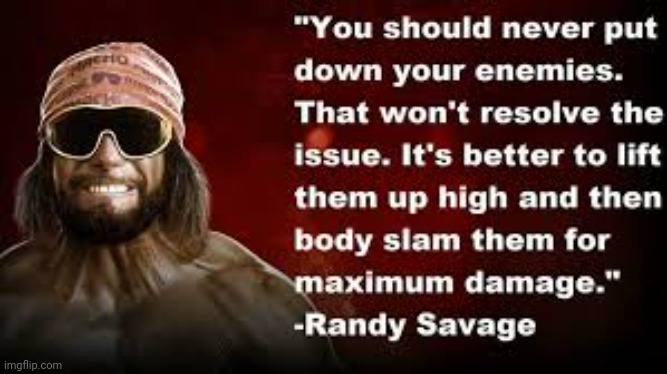 Words of Wisdom on what should be done about leftist, blm, antifa, commies. | image tagged in macho man randy savage,antifa,blm,leftists,crush the commies | made w/ Imgflip meme maker