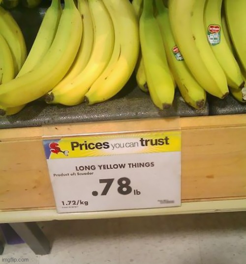long yellow things | image tagged in why | made w/ Imgflip meme maker