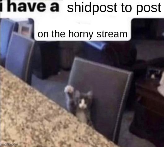 i have a blank | shidpost to post on the horny stream | image tagged in i have a blank | made w/ Imgflip meme maker