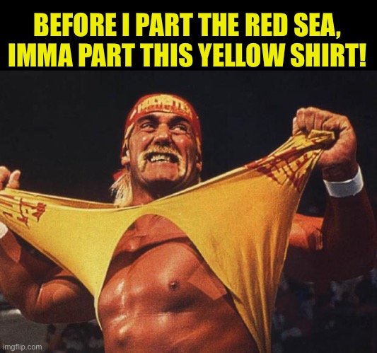 hulk hogan | BEFORE I PART THE RED SEA,
IMMA PART THIS YELLOW SHIRT! | image tagged in hulk hogan | made w/ Imgflip meme maker