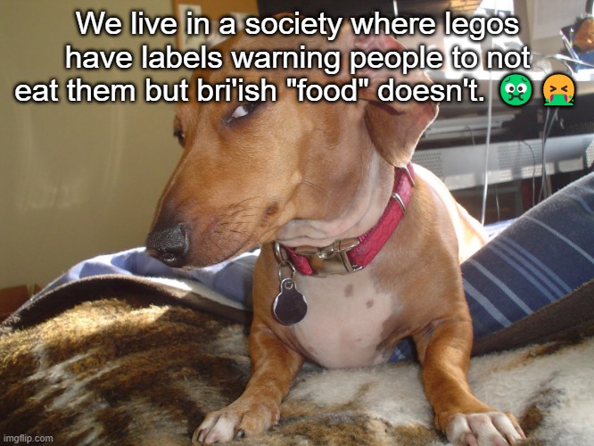 Suspicious Dog | We live in a society where legos have labels warning people to not eat them but bri'ish "food" doesn't. 🤢🤮 | made w/ Imgflip meme maker