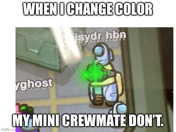 WHEN I CHANGE COLOR; MY MINI CREWMATE DON’T. | made w/ Imgflip meme maker