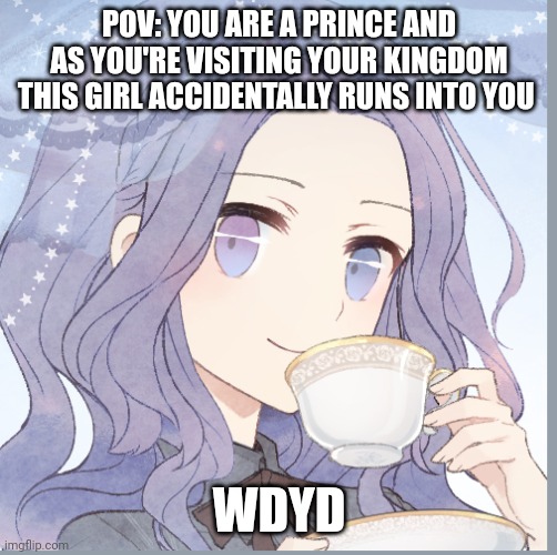 Normal rules apply. Sorry for all the ones where you have to be royalty | POV: YOU ARE A PRINCE AND AS YOU'RE VISITING YOUR KINGDOM THIS GIRL ACCIDENTALLY RUNS INTO YOU; WDYD | made w/ Imgflip meme maker