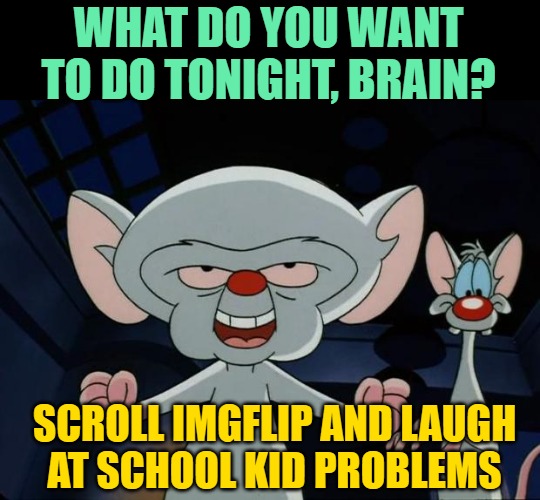 Friday Night with Pinky & the Brain | WHAT DO YOU WANT TO DO TONIGHT, BRAIN? SCROLL IMGFLIP AND LAUGH
AT SCHOOL KID PROBLEMS | image tagged in pinky and the brain,imgflip,funny memes,school,kids,lol | made w/ Imgflip meme maker