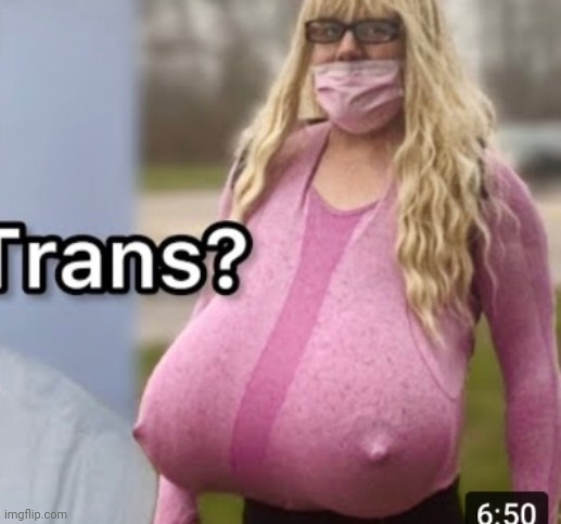 Trans? | image tagged in trans | made w/ Imgflip meme maker