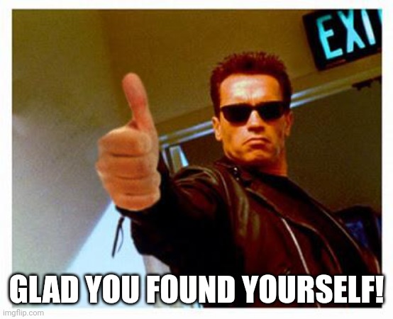 terminator thumbs up | GLAD YOU FOUND YOURSELF! | image tagged in terminator thumbs up | made w/ Imgflip meme maker