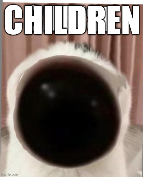 CHILDREN | made w/ Imgflip meme maker