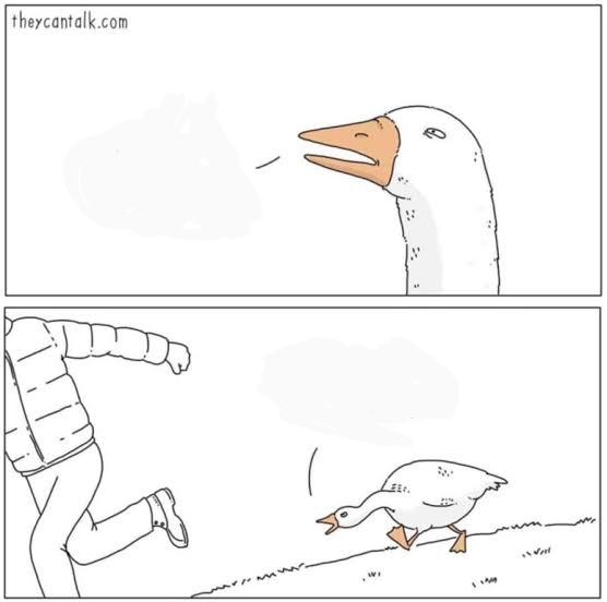 Angry goose Blank Meme Template