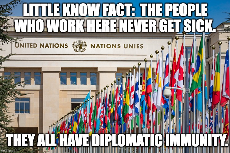 UN | LITTLE KNOW FACT:  THE PEOPLE WHO WORK HERE NEVER GET SICK. THEY ALL HAVE DIPLOMATIC IMMUNITY. | image tagged in bad pun | made w/ Imgflip meme maker