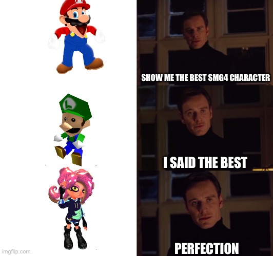 perfection | SHOW ME THE BEST SMG4 CHARACTER; I SAID THE BEST; PERFECTION | image tagged in perfection | made w/ Imgflip meme maker