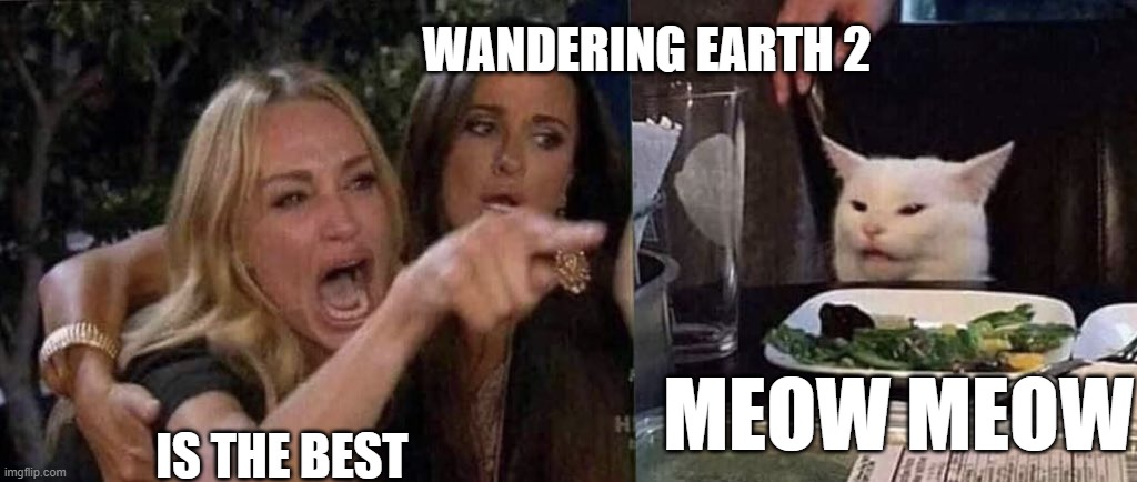 Wandering Earth 2 | WANDERING EARTH 2; MEOW MEOW; IS THE BEST | image tagged in woman yelling at cat | made w/ Imgflip meme maker