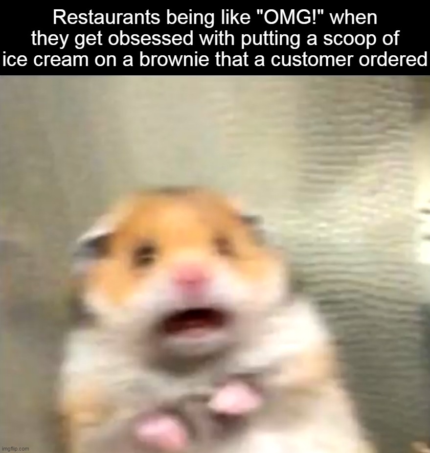 Scared Hamster | Restaurants being like "OMG!" when they get obsessed with putting a scoop of ice cream on a brownie that a customer ordered | image tagged in scared hamster,meme,memes,funny,humor | made w/ Imgflip meme maker