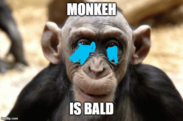 bald monkey | MONKEH; IS BALD | image tagged in bald monkey | made w/ Imgflip meme maker